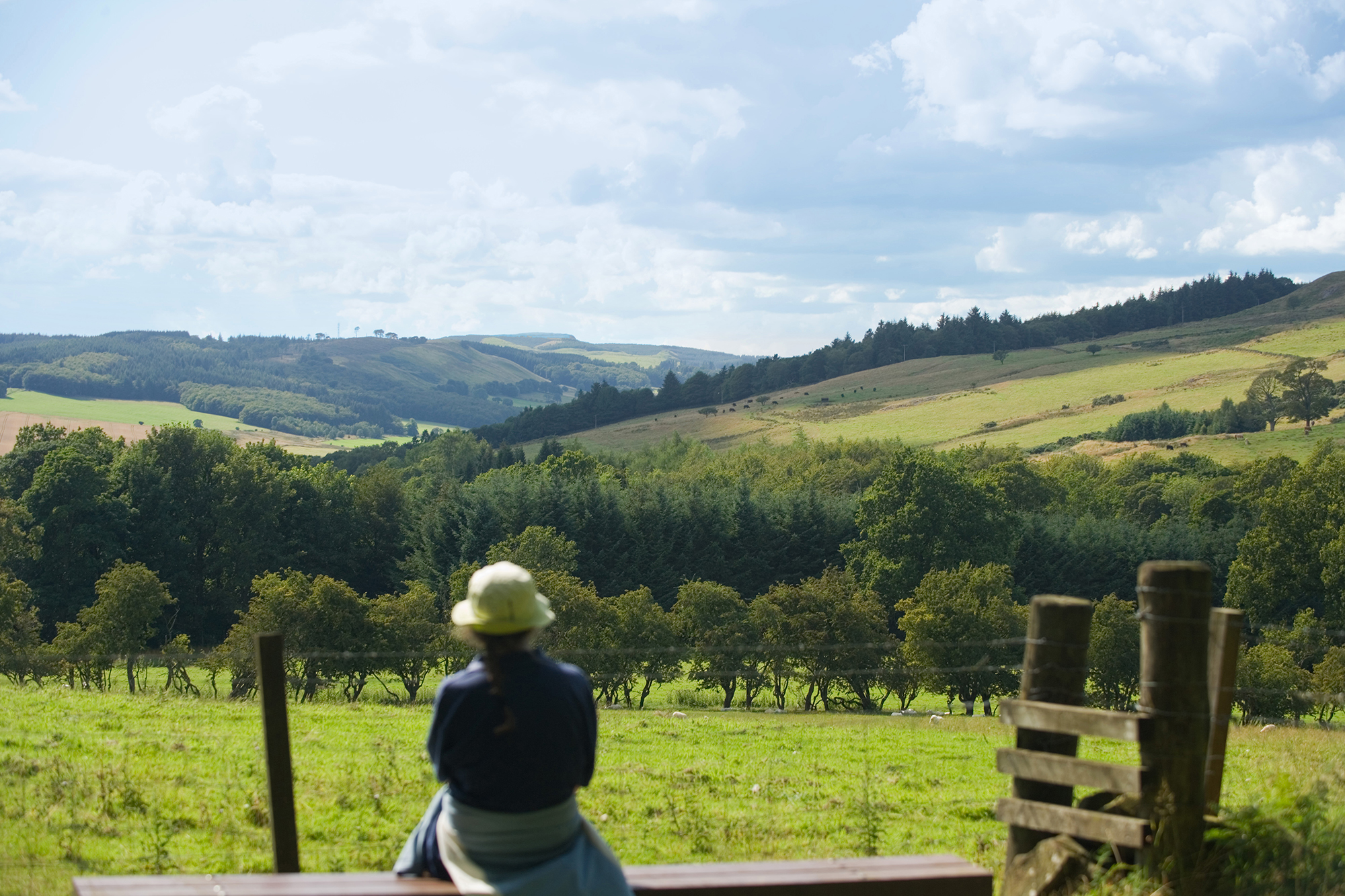 hillwalking.jpeg woman sitting looking towards view of hills and trees